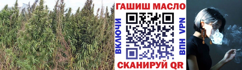 гидра ONION  Ивантеевка  маркетплейс официальный сайт  Дистиллят ТГК концентрат 